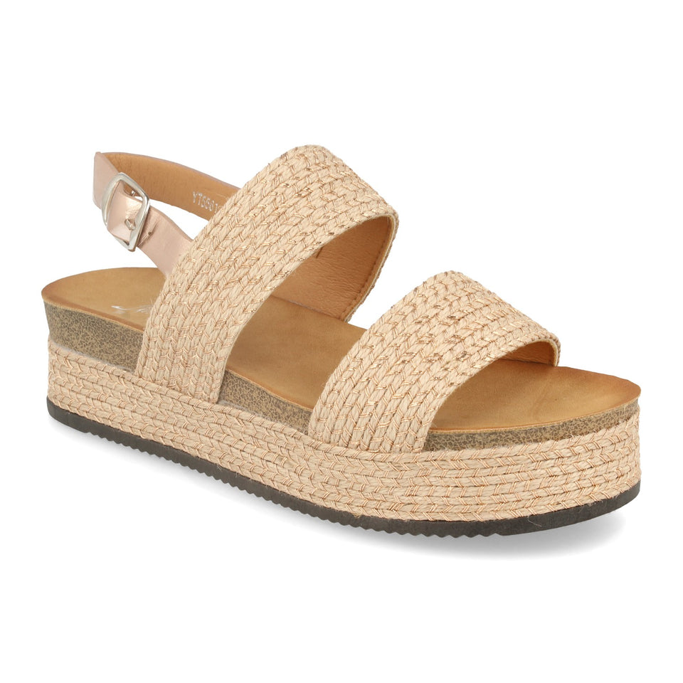 YT5561-Champan