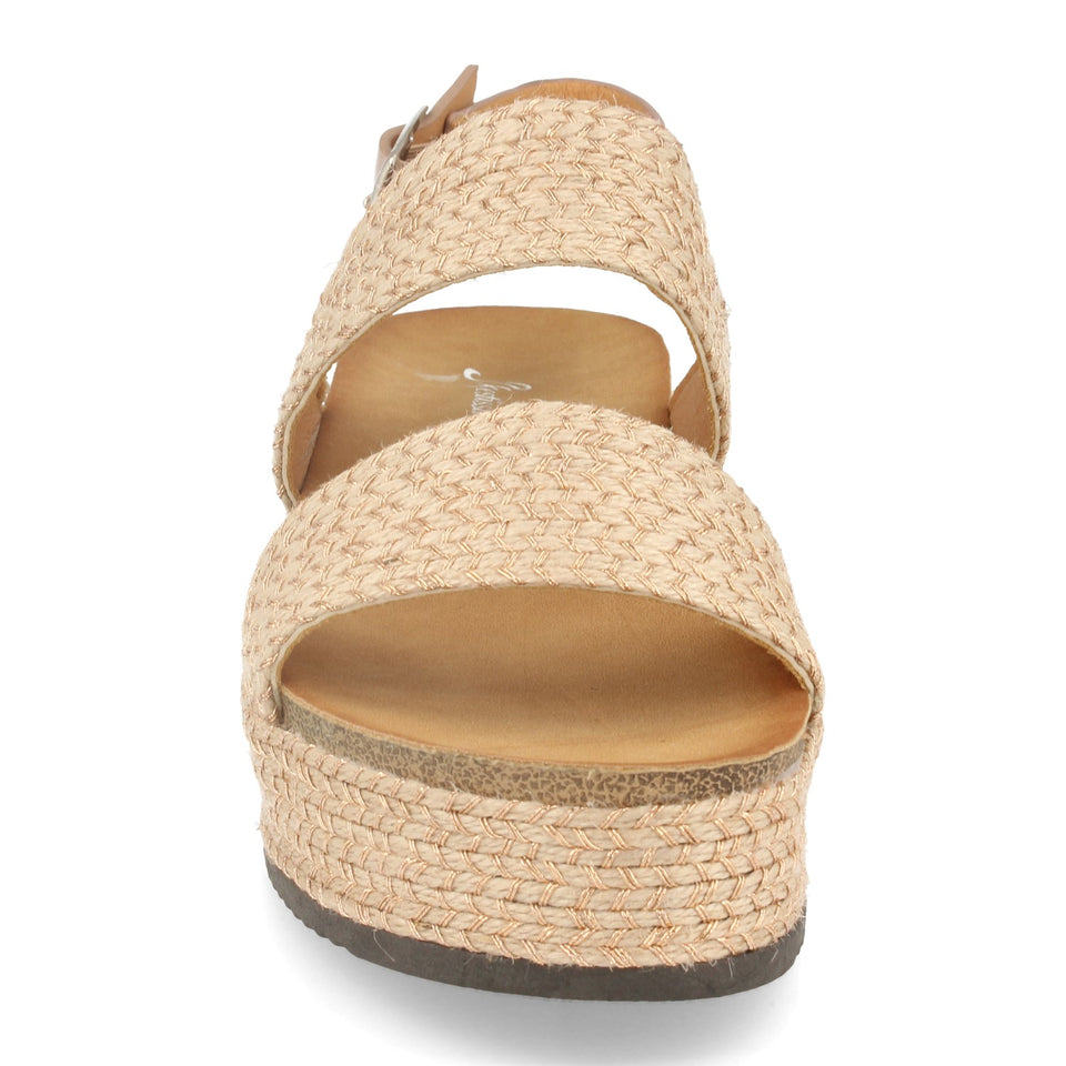 YT5561-Champan