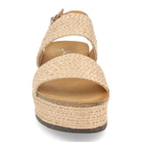 YT5561-Champan